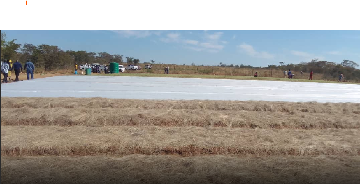 War Veterans’ Nyadora Farm Scales Up Output Through Strategic Partnership