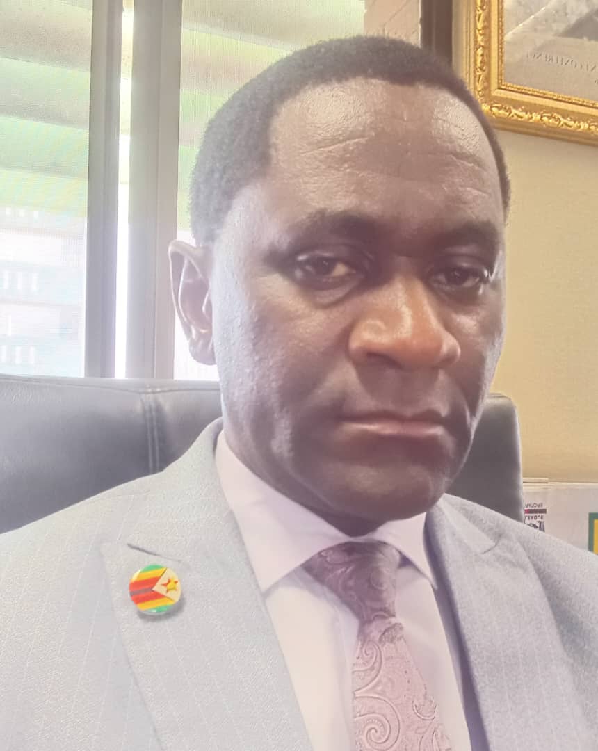 Mr Garikayi Chipfunde
