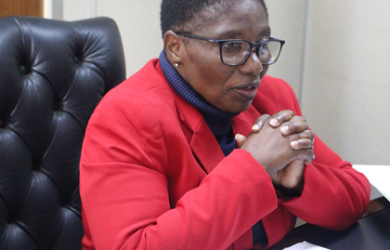 Govt unveils Presidential Empowerment Scheme for children of war veterans