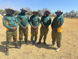 WhatsApp Image 2025-10-09 at 13.23.06_75ed2efb