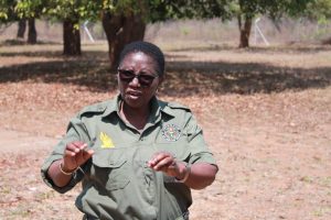 WhatsApp Image 2025-11-20 at 16.34.09 (1)