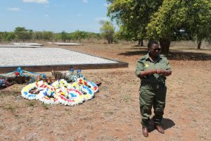 WhatsApp Image 2025-11-20 at 16.34.09 (2)