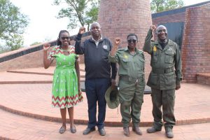 WhatsApp Image 2025-11-20 at 16.34.09