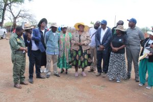 WhatsApp Image 2025-11-20 at 16.34.12